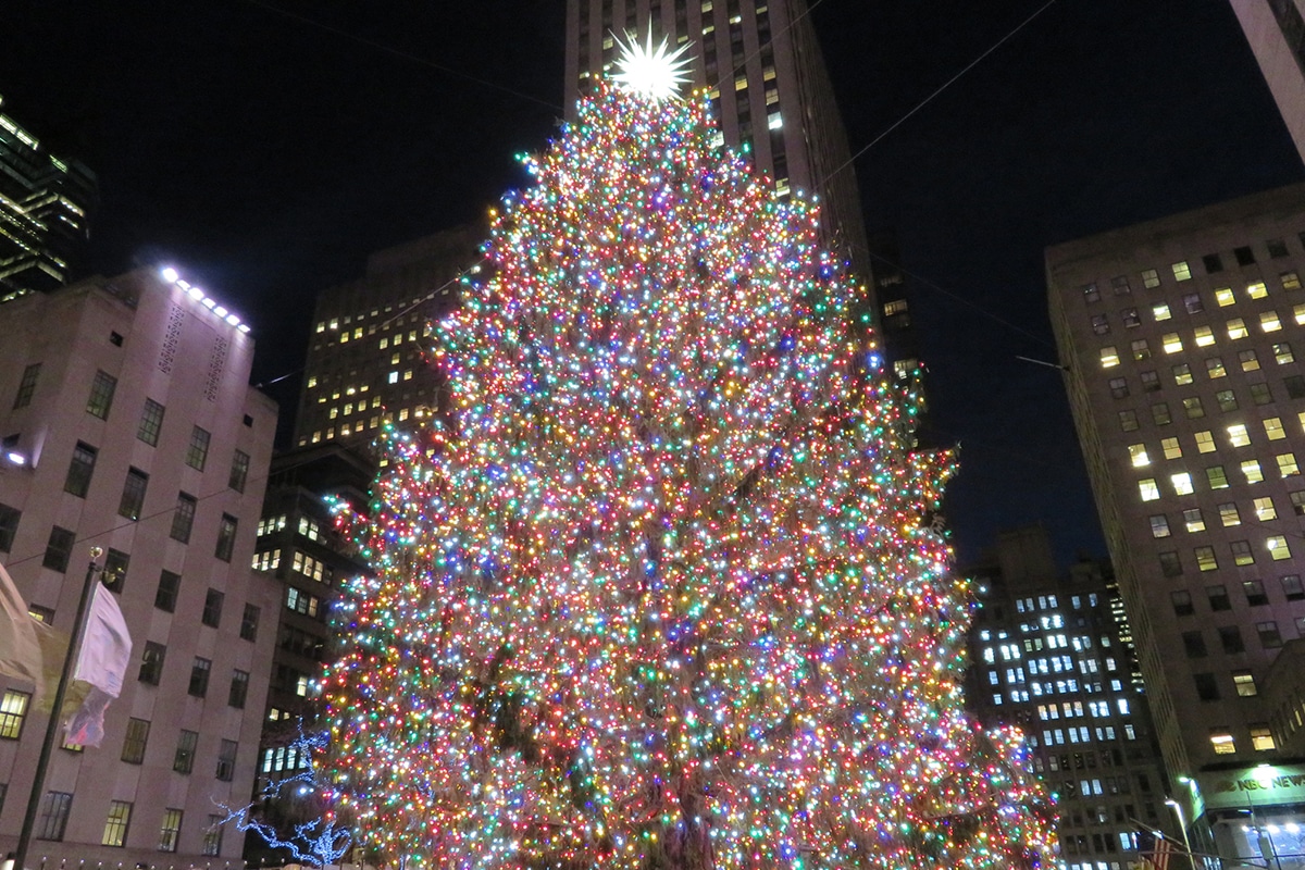 2023 National Christmas Tree Lighting Ceremony Blog 