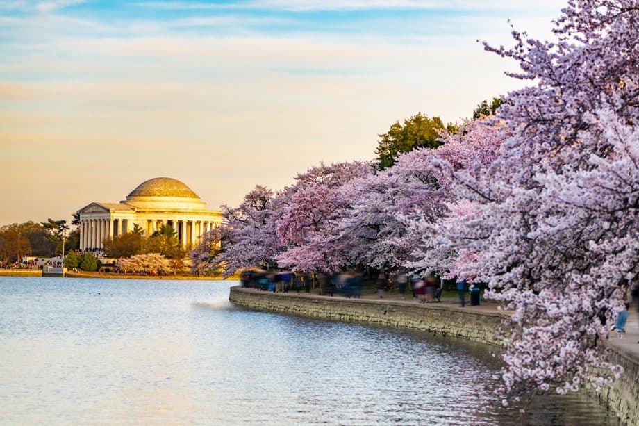 National Cherry Blossom Festival 2025 - Celebrate Spring in Bloom